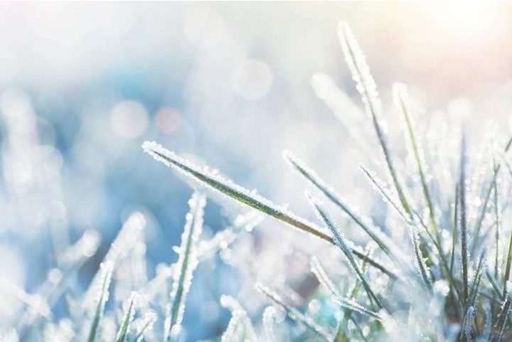 年末年始休業のお知らせ